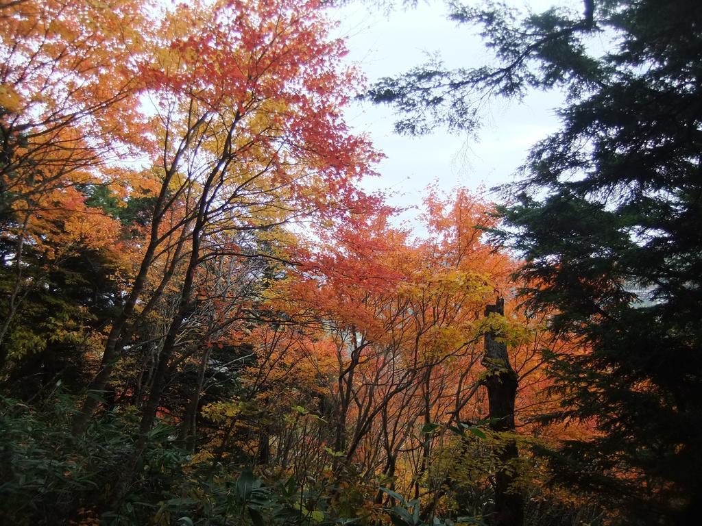 Shiga Park Hotel Yamanouchi  Exterior foto